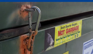 bear resistant dumpster